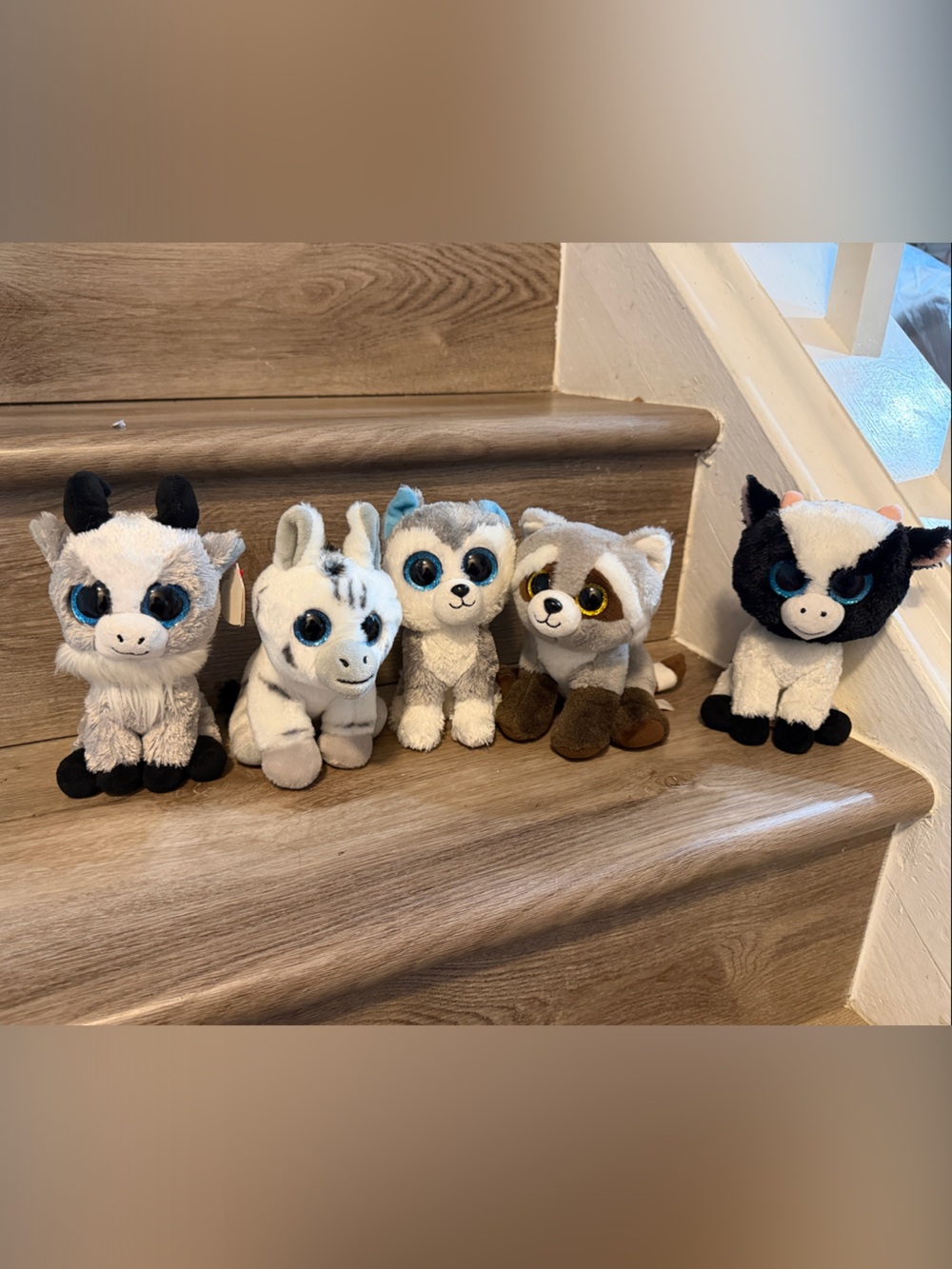 Lot of 5 TY Beanie Boos Plush – Butter, Tundra, Tala, Bamboo & Gabby